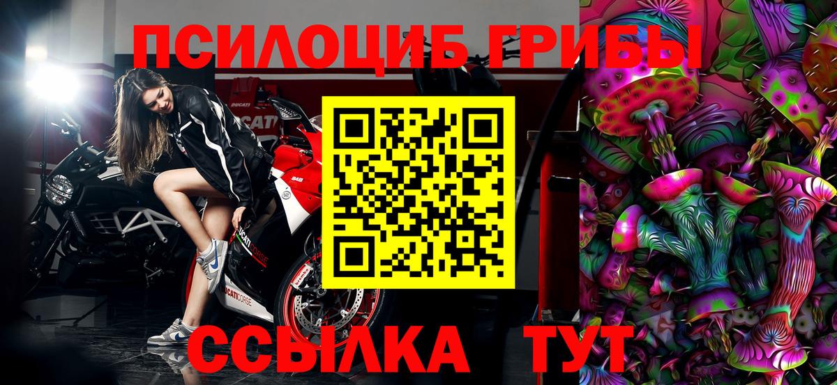 Псилоцибиновые грибы прущие грибы  Вход с VPN  Конаково 